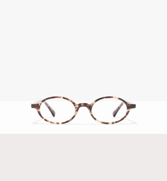 Oval tortoiseshell glasses on a white background.